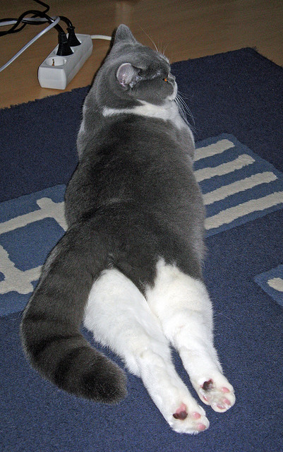 权力的游戏，当委内瑞拉压制奥地利，格列兹曼在英超上演致命一击