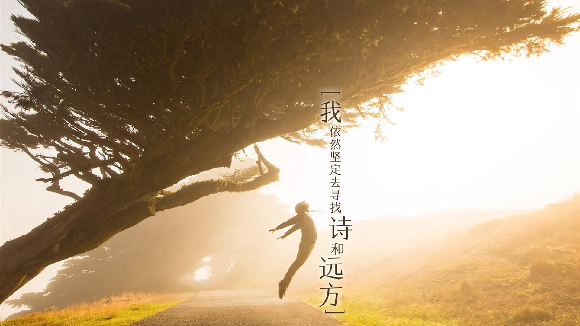 拉文稳定输出诠释巨星价值，浙江队团队篮球终结骑士