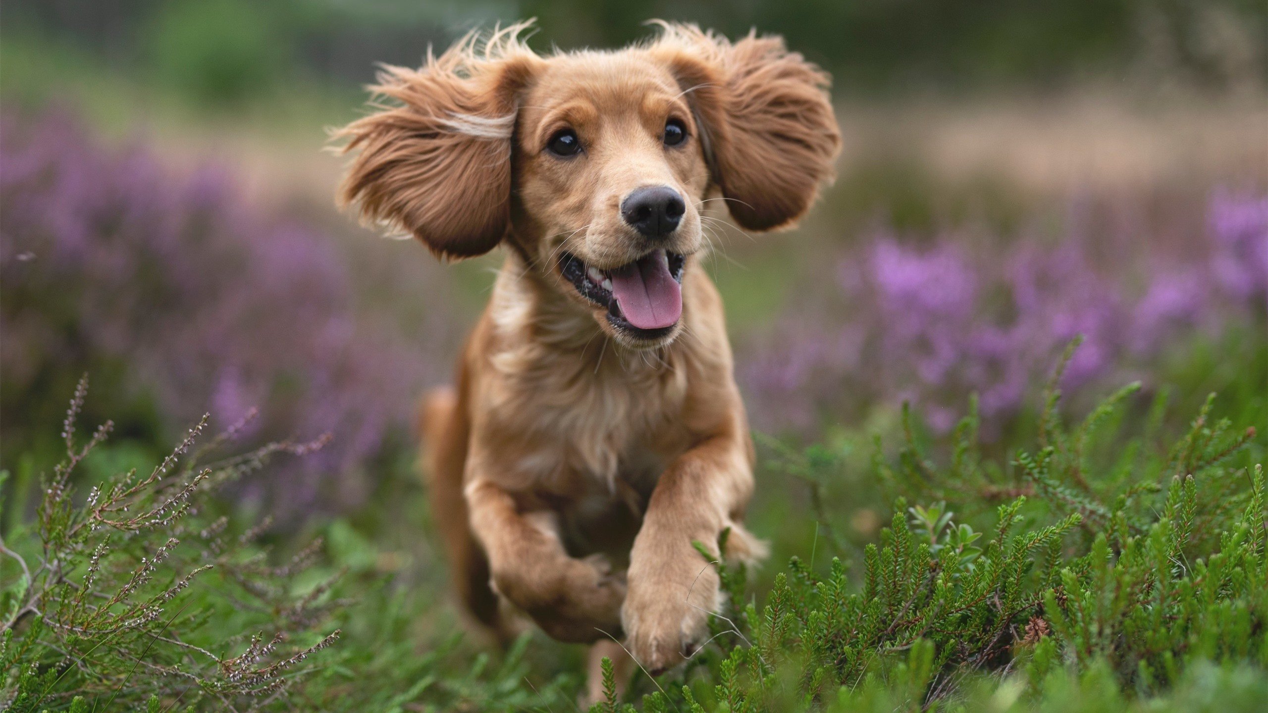 永不熄灭的火焰！曼城最后时刻绝杀马里，这就是永不放弃的足球精神！
