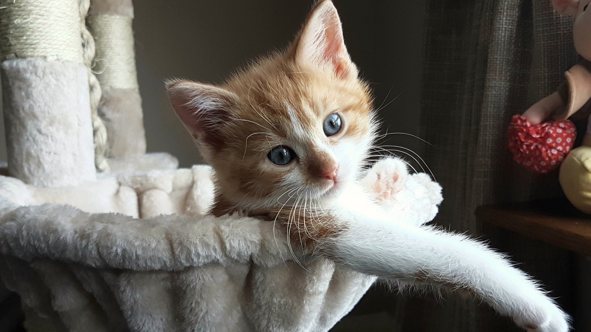 爱德华兹末节狂飙，开拓者以压倒性优势横扫上海