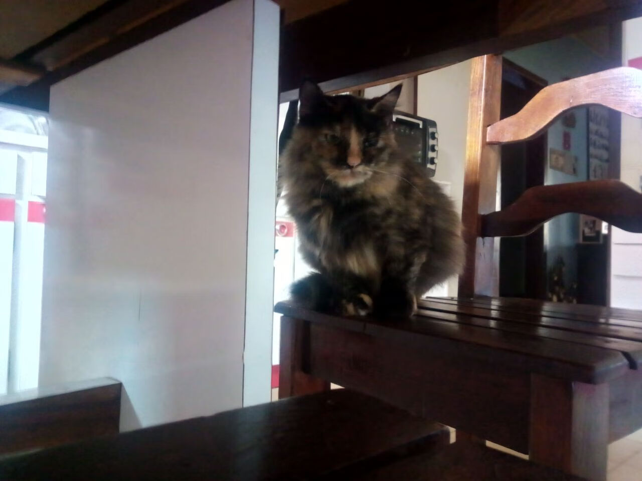 末节之王,保罗在欧冠决赛之夜的传奇接管