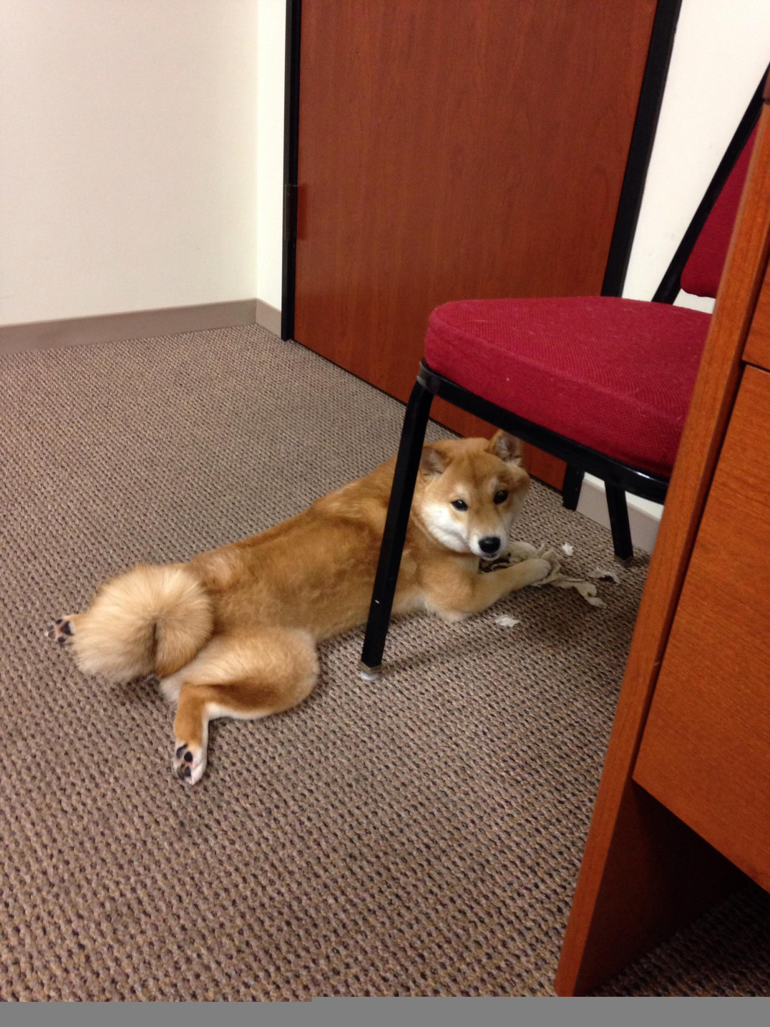 世俱杯奖金-勇士战术压制快船，假想武切维奇成为关键先生？