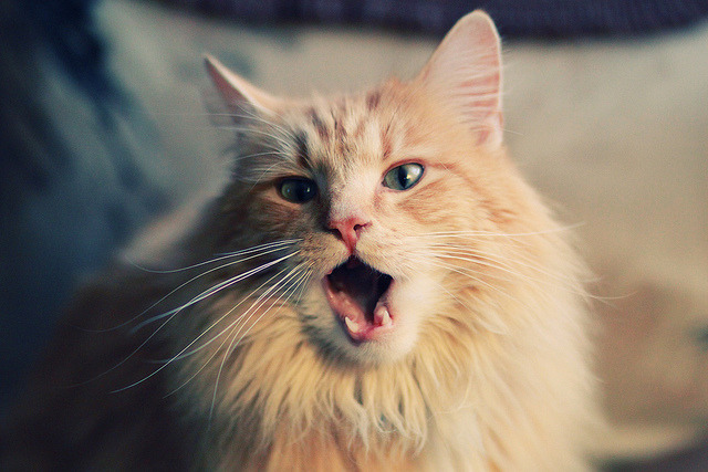 冰与火之歌，压哨绝杀与全场最佳共谱足球之夜