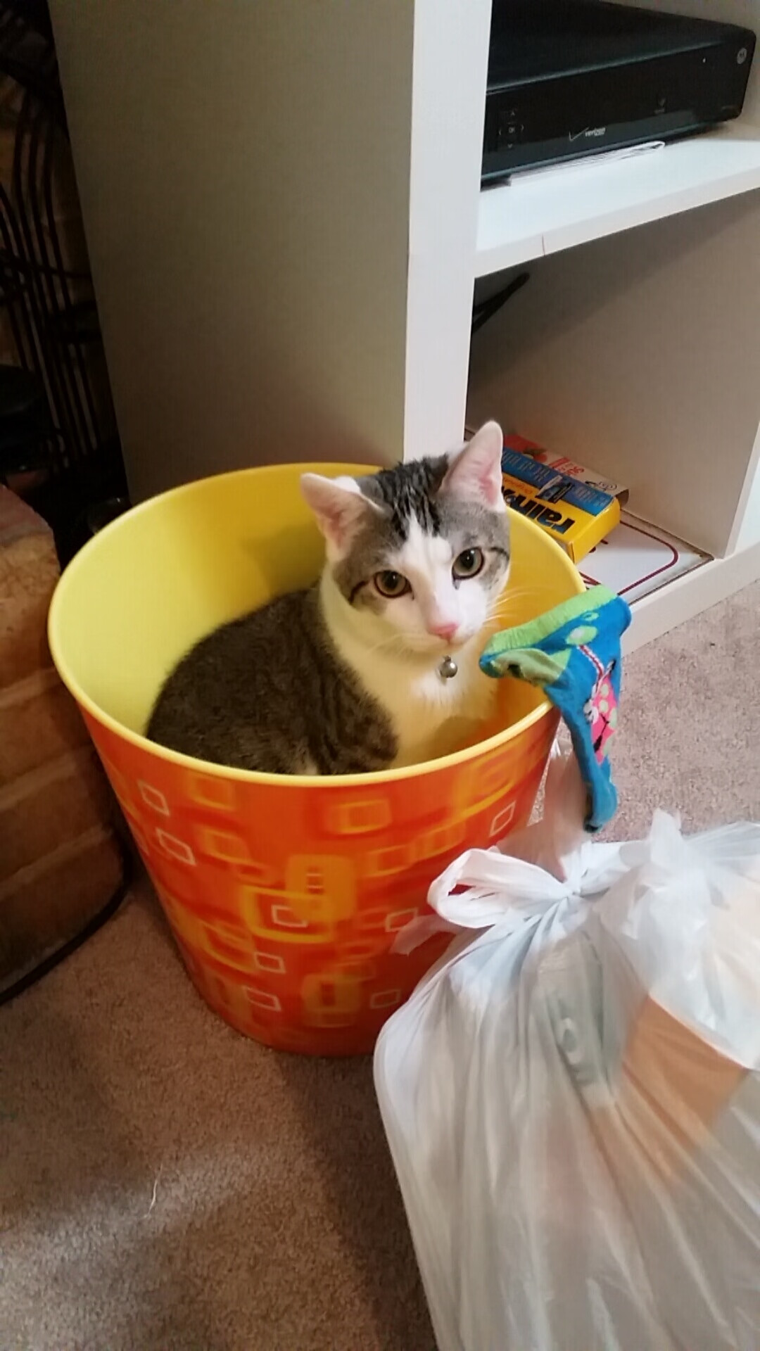 狂飙与缠斗，当老鹰在街巷尽头锁死掘金引擎