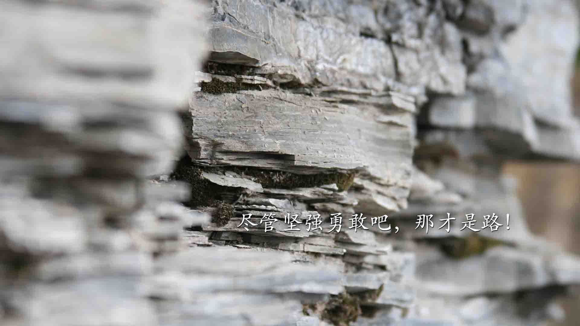 圣保罗的雨夜，托尼关键时刻站起来，为巴西书写新篇章