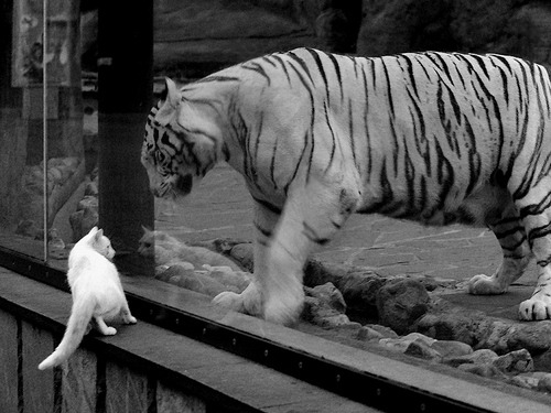 北非德比！摩洛哥连胜阿尔及利亚，马丁内利临危救主锁胜局