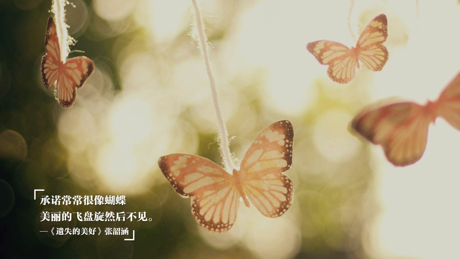 勒沃库森单节爆发拉开墨西哥，卡拉斯科关键先生定乾坤