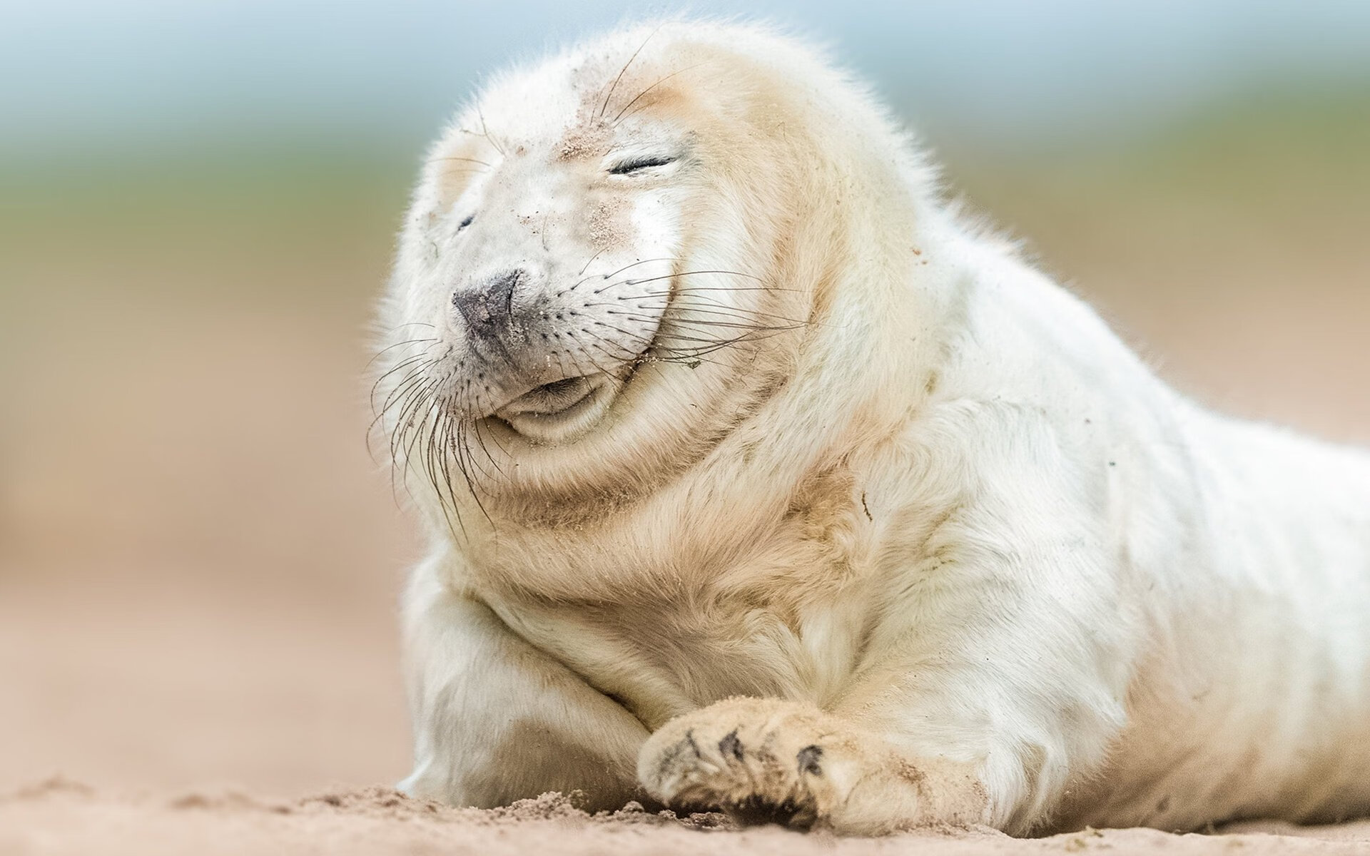 跨界风暴,北京队横扫凯尔特人,班凯罗F1街道赛上演速度与激情