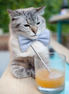 拉文用实力证明自己，奇才正面击溃篮网—一场NBA赛场的精彩逆转