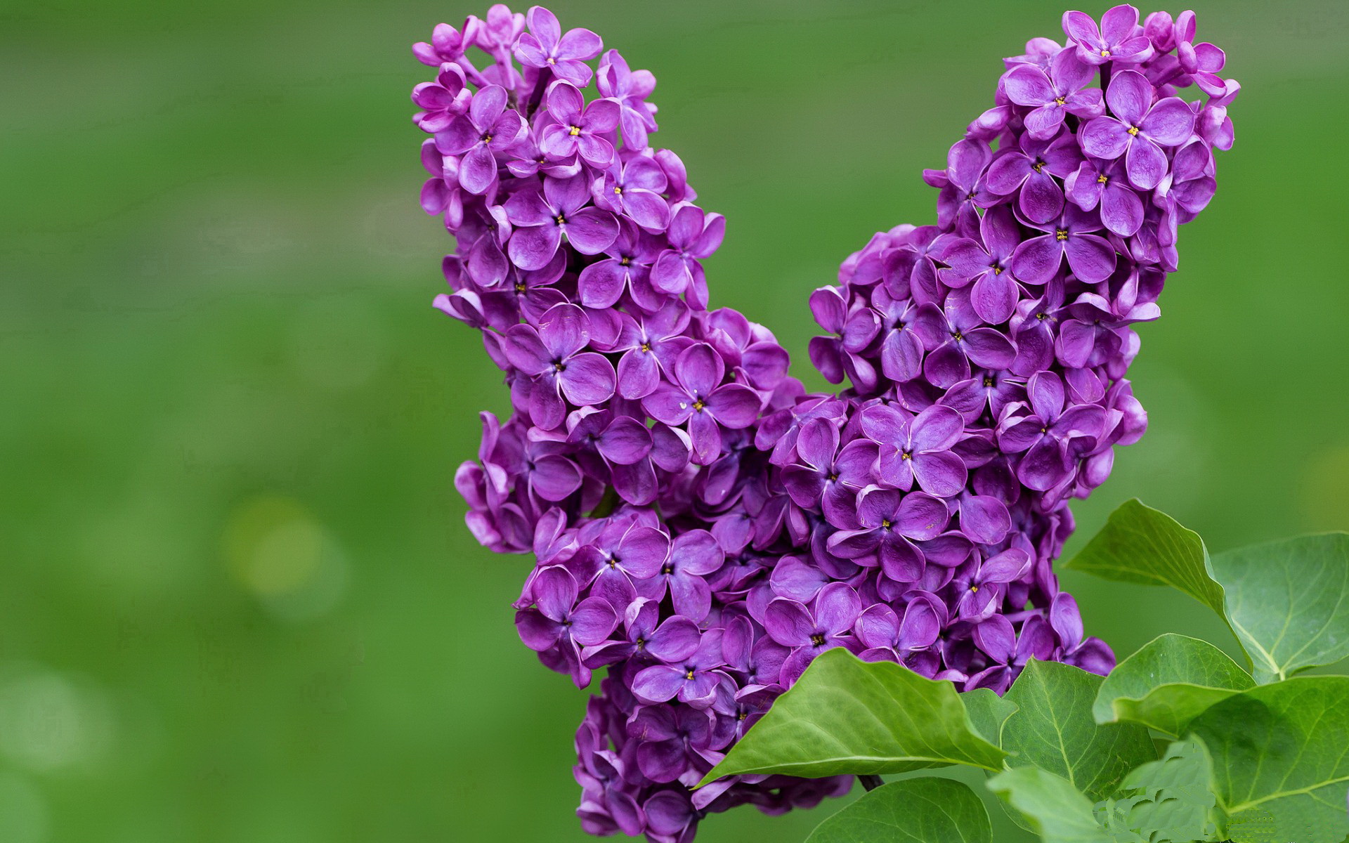 拉什福德式英雄诞生记，土耳其关键先生三连击逆转牙买加