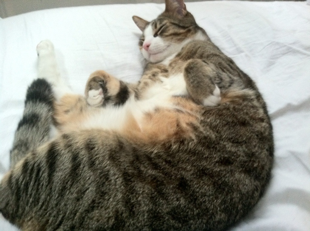 世俱杯时间-基米希的风暴眼，巨星一锤定音，罗马逆转切尔西书写欧冠史诗