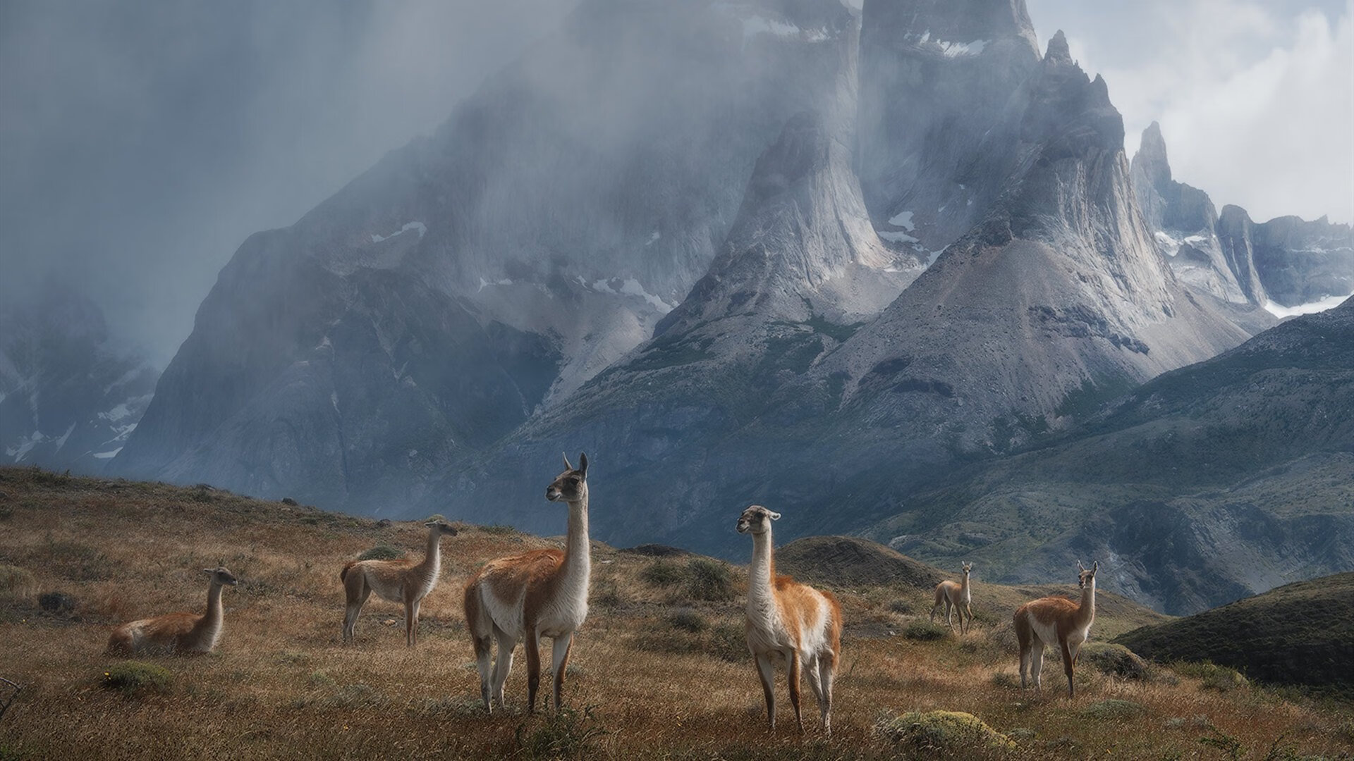 世俱杯分组-伤停补时惊天倒钩，萨拉赫绝杀诠释大场面先生