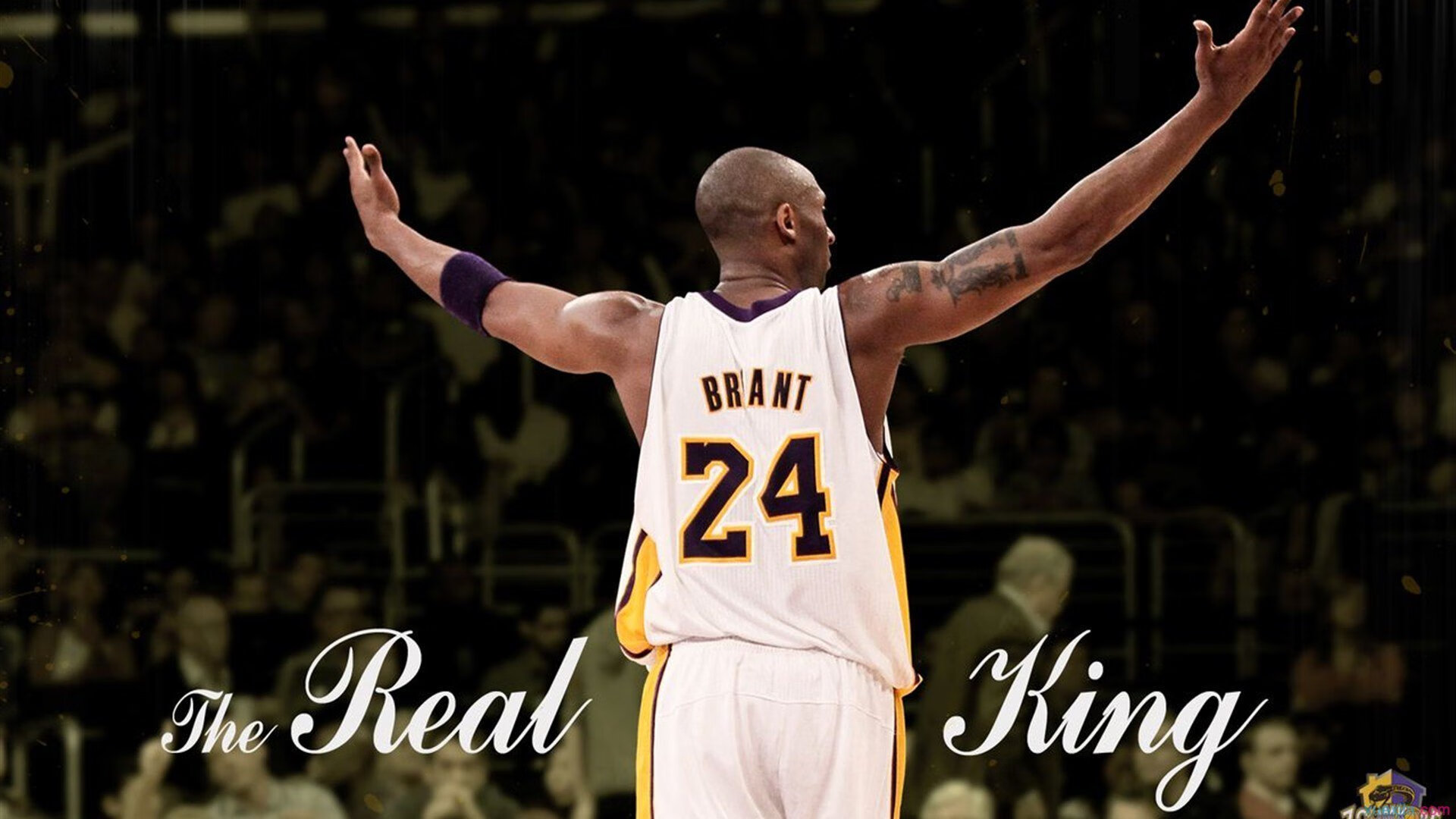 钢铁洪流，季后赛抢七战，广厦用团队篮球碾过雄鹿巨轮