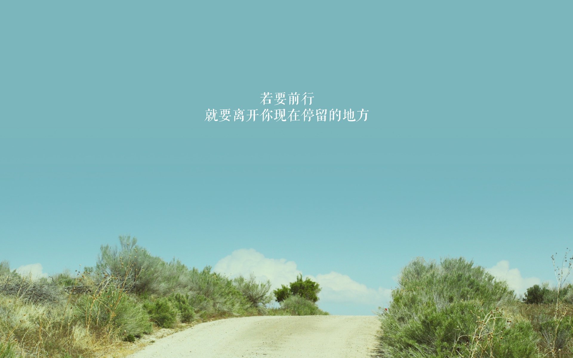 最后一秒与一万次心跳，2026世界杯之夜的拉文，在钢铁与噪音中投出寂静