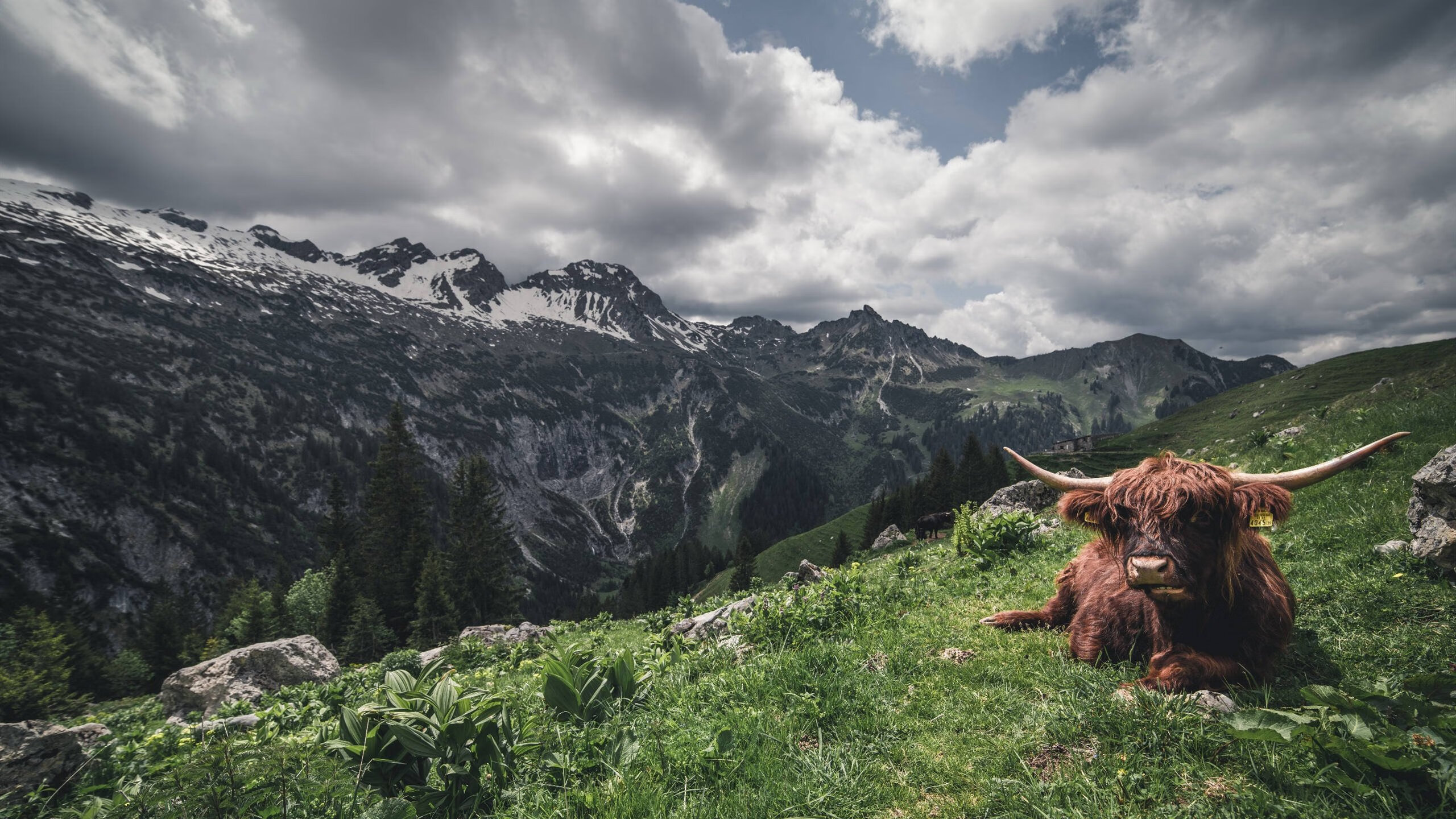 米切尔闪耀证明巨星本色，76人战术精妙压制勇士攻势
