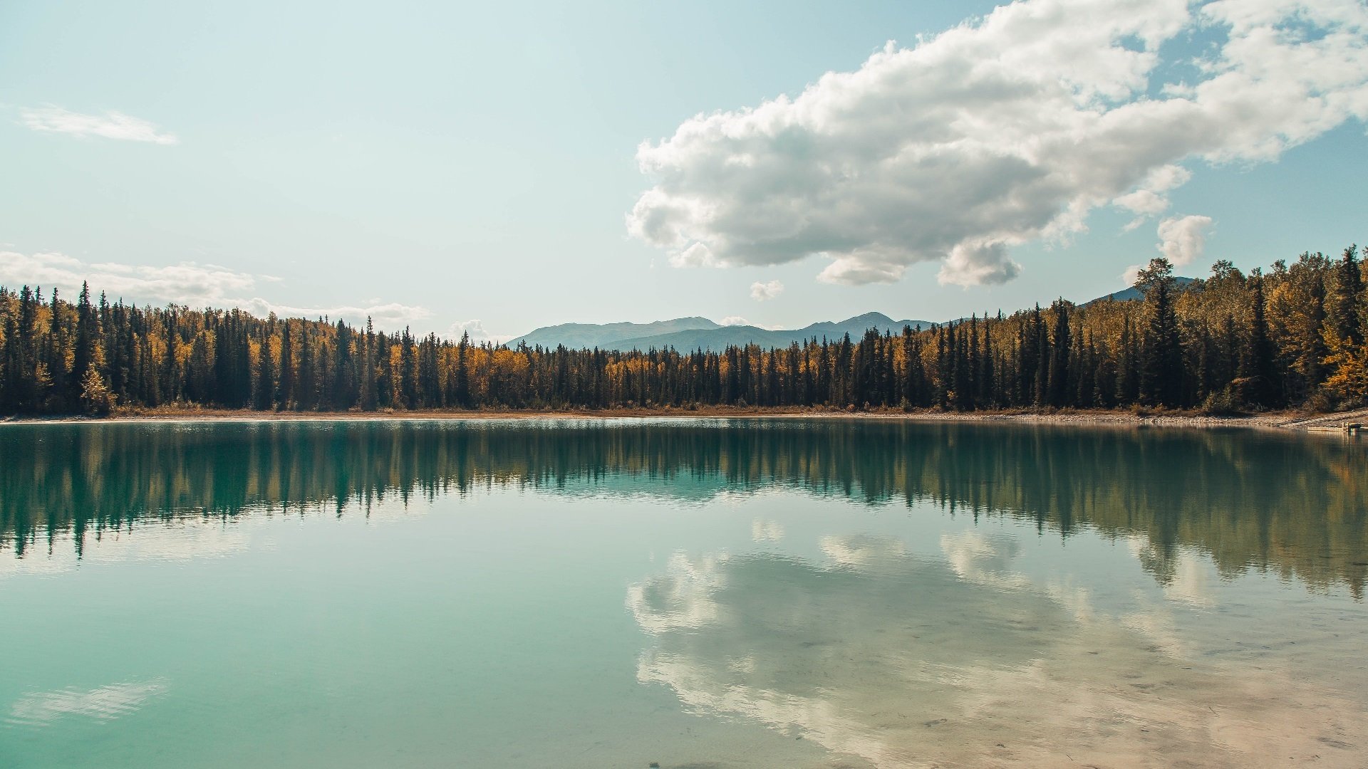 世俱杯参赛资格-篮下巨塔与绿茵铁闸，当戈贝尔的统治力空降英超争冠混战