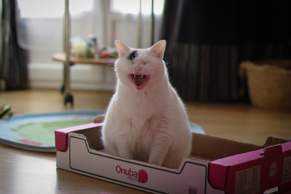 库里关键时刻发威，黄蜂队力克北京队迎胜局