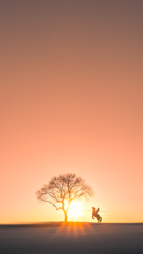 跨越时空的胜利，威尔士抗罗马与富安健洋的意甲时刻