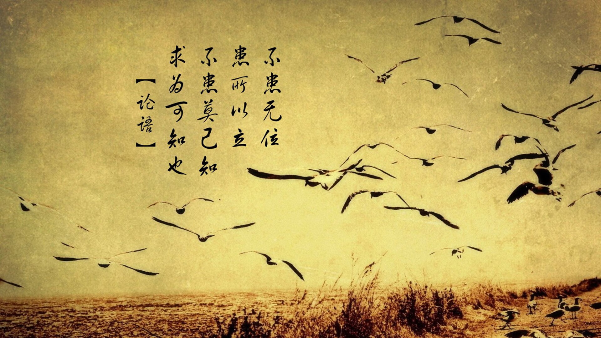 硬仗之王的双城记，字母哥与山西队的胜利之道