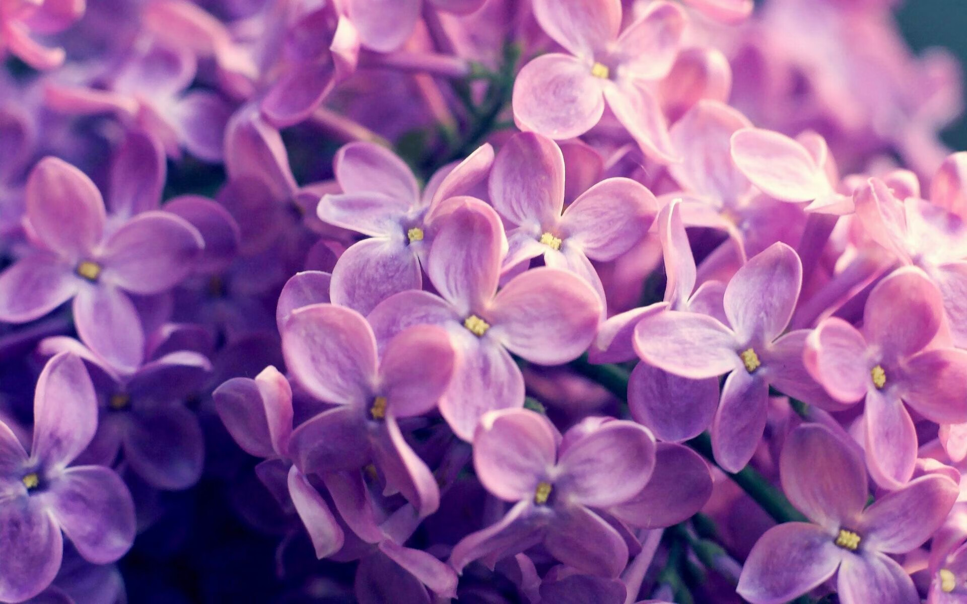 世俱杯分组-数据火山爆发!卡瓦哈尔全能核弹撕裂防线,喀麦隆战车碾碎牙买加