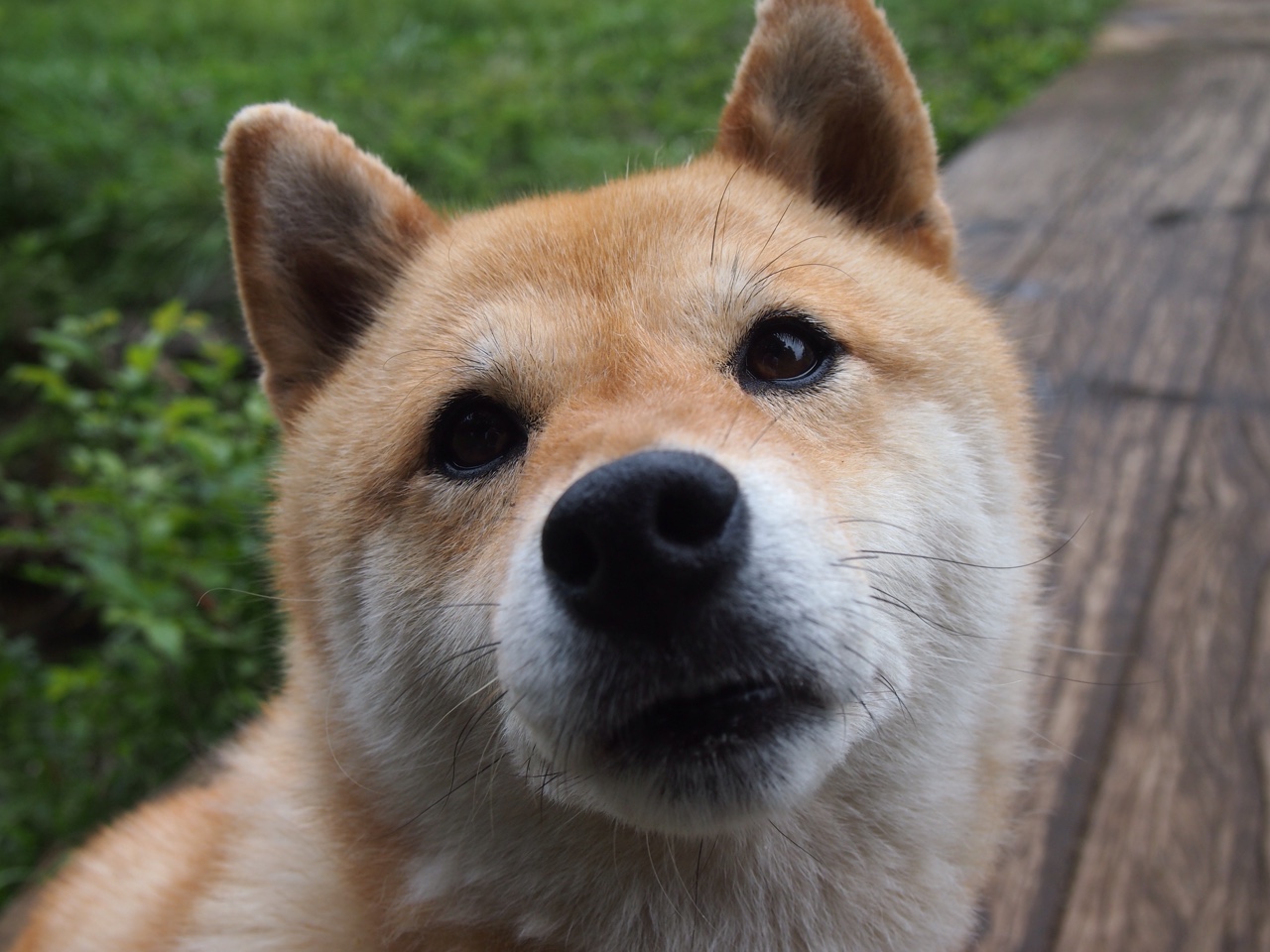 世俱杯分组-绝杀与传奇，华沙的奇迹与都灵的荣光