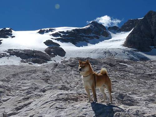 太阳灼烧活塞，詹姆斯剑指传奇，英雄主义的两种注解