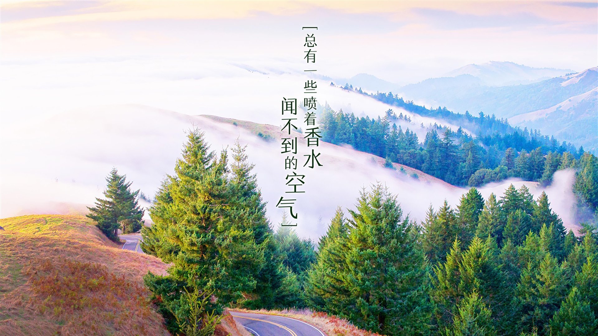 沙漠风暴,智利完胜乌拉圭,库尔图瓦用双手铸就D组铁壁神话
