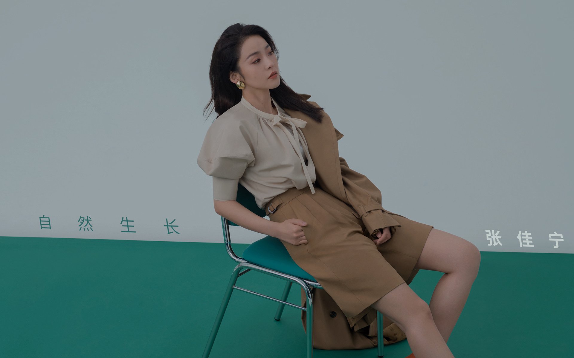法兰西的黄昏,巴西的星光,与坎塞洛的救赎