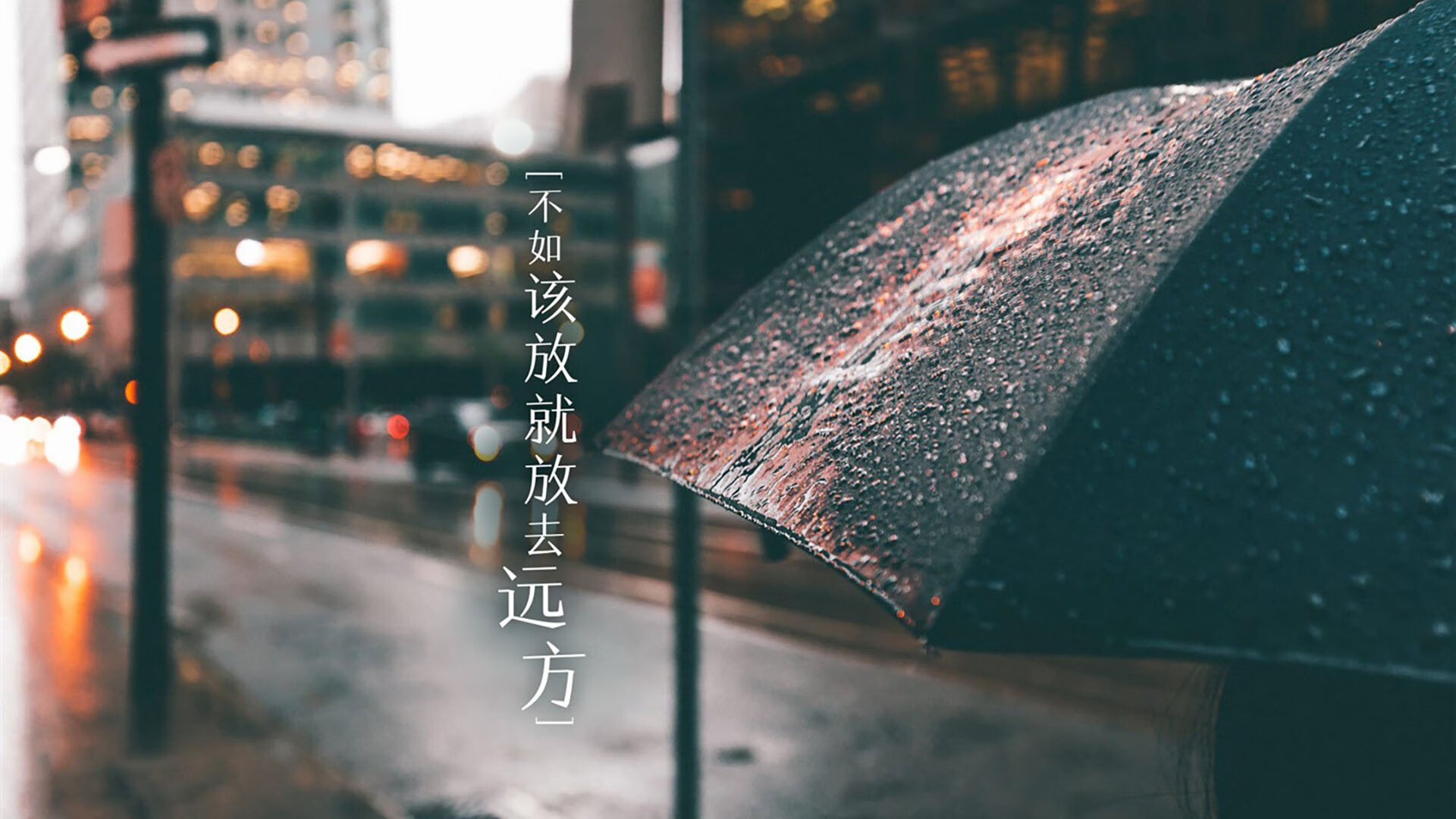 加纳风暴席卷C组,维尼修斯独造三球,非洲雄鹰强势压制日本
