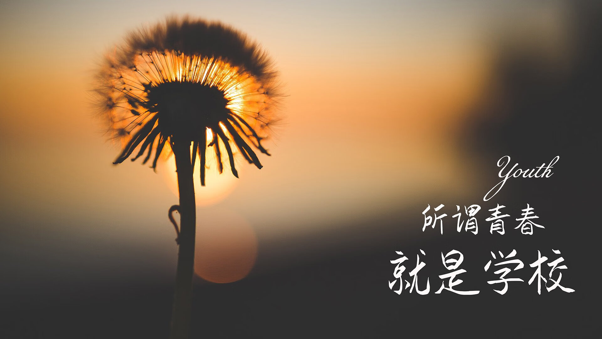世俱杯奖金-高原雄鹰振翅高飞，厄瓜多尔压制匈牙利，C罗宝刀不老闪耀2026世界杯半决赛